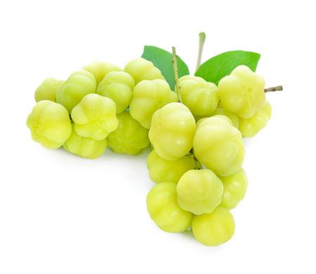 https://www.123rf.com/stock-photo/star_gooseberry_fruit_phyllanthus_acidus.html?sti=mjfjfm5qfbw5wf8pms|