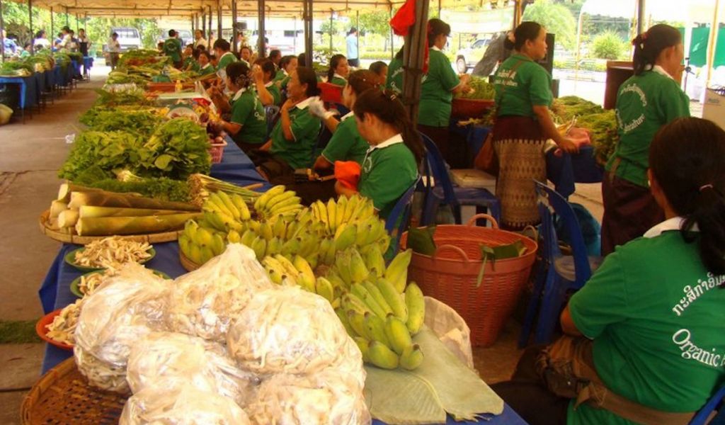 Organic vegetable market Laos