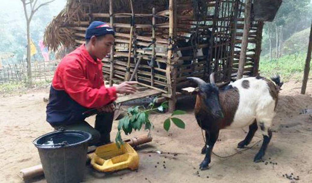 Goat farmers in Laos
