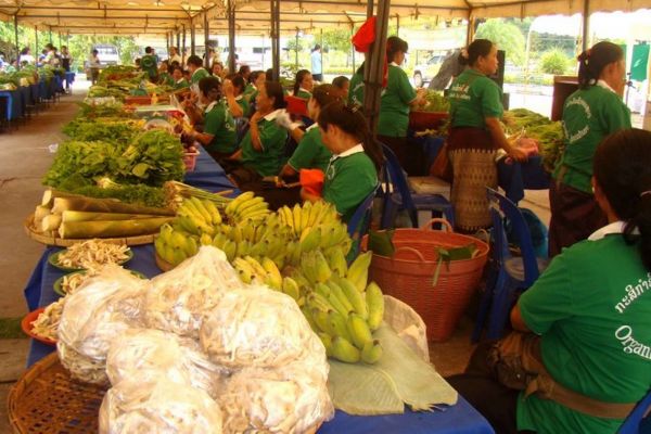 Organic vegetable market Laos