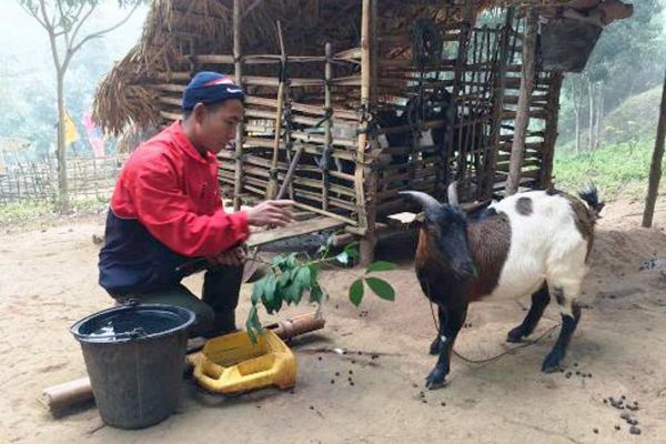 Goat farmers in Laos
