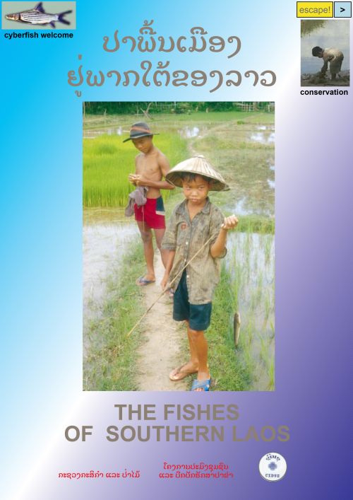 Fishes of Southern Laos