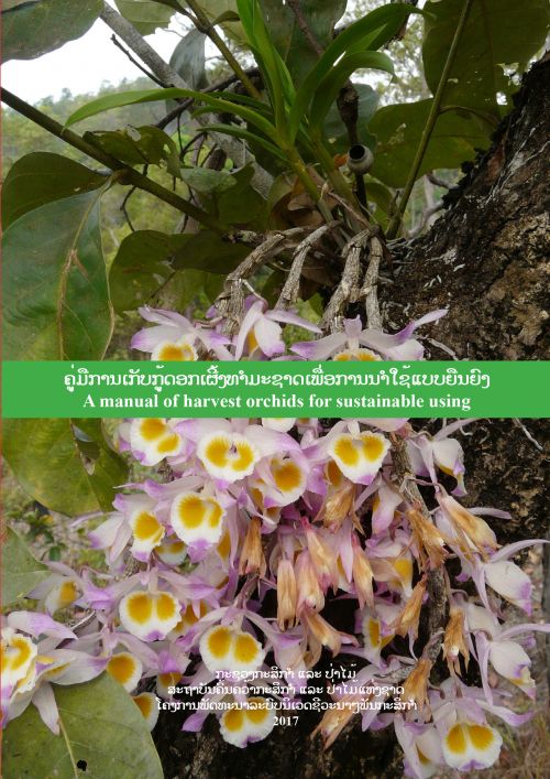 ຄູ່ມືການເກັບກູ້ດອກເຜີ້ງທຳມະຊາດເພື່ອການນຳໃຊ້ແບບຍືນຍົງ (A manual of harvest orchids for sustainable using)