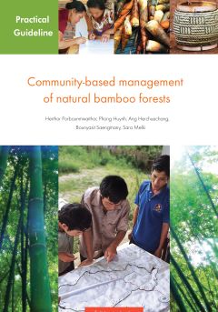 Community-based management of natural bamboo forests